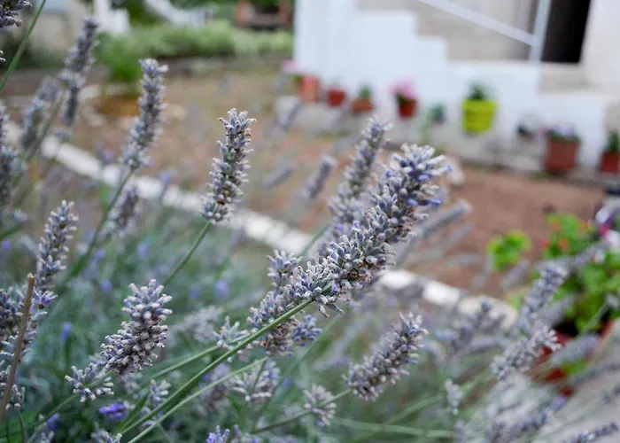 Appartement With A Parking Space Pirovac, Sibenik - 12508 Pirovac